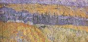Vincent Van Gogh Landscape at Auvers in the  Rain (nn04) Spain oil painting artist